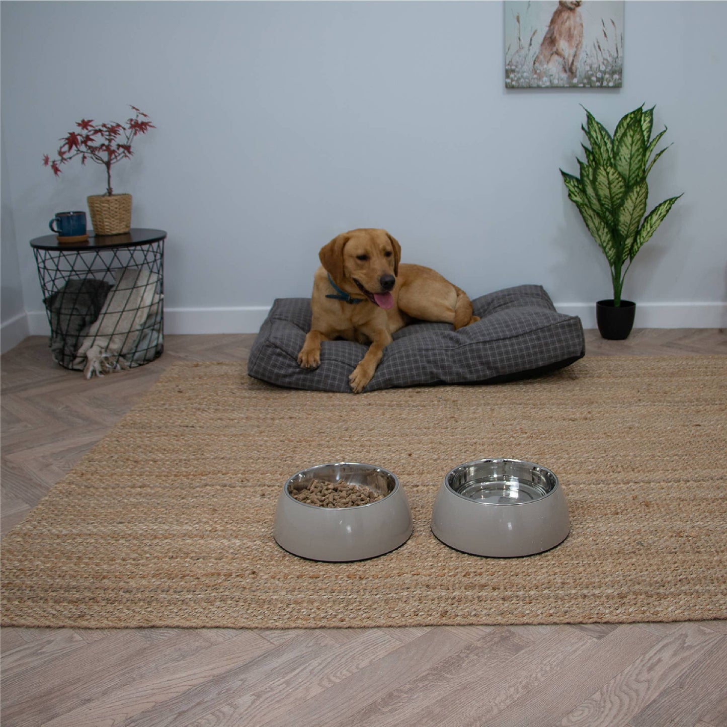 Hungry Paws Oatmeal Double Walled Bowl: 2 Sizes