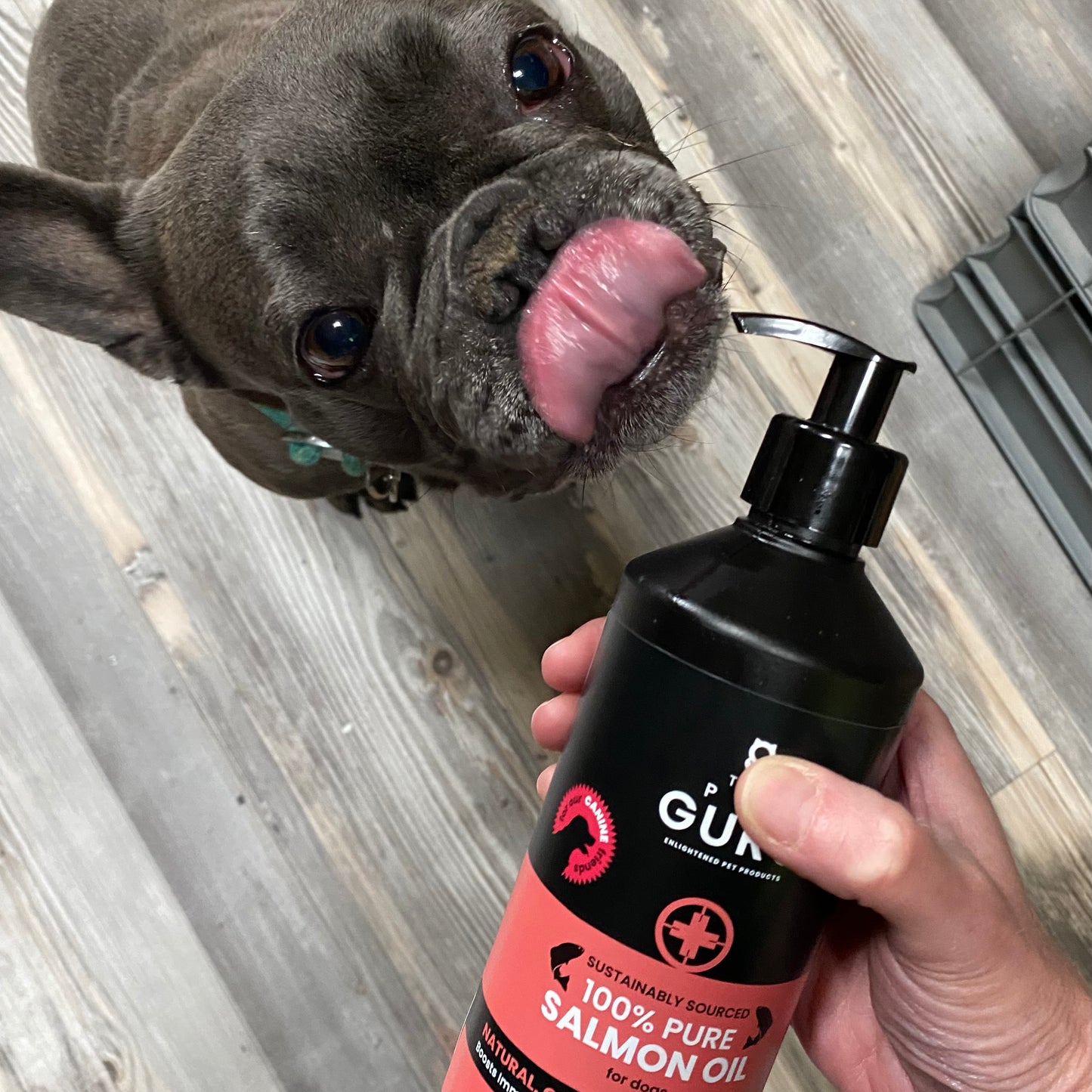 NEW! Pure Scottish Salmon Oil for Dogs, 500ml