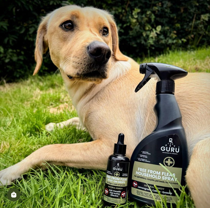 the pet guru natural flea spot on treatment for dogs - ingredients benefits - natural flea treatment - dog flea spot on - flea control dogs