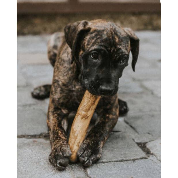 Miro & Makauri Coffee Wood Dog Chew