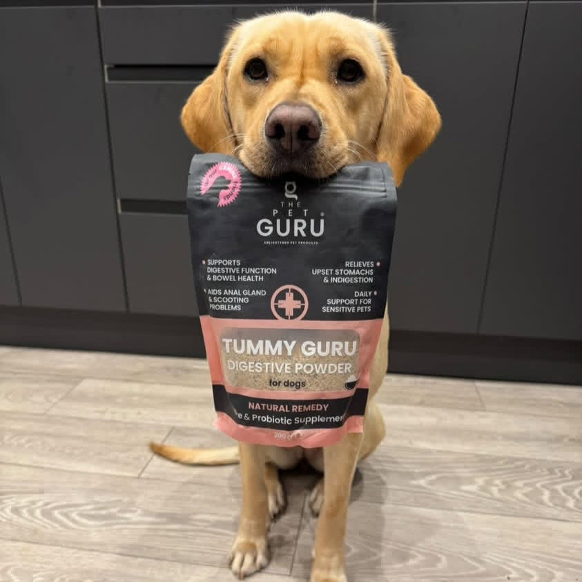 Tummy Guru digestive support for Dogs, 200gm