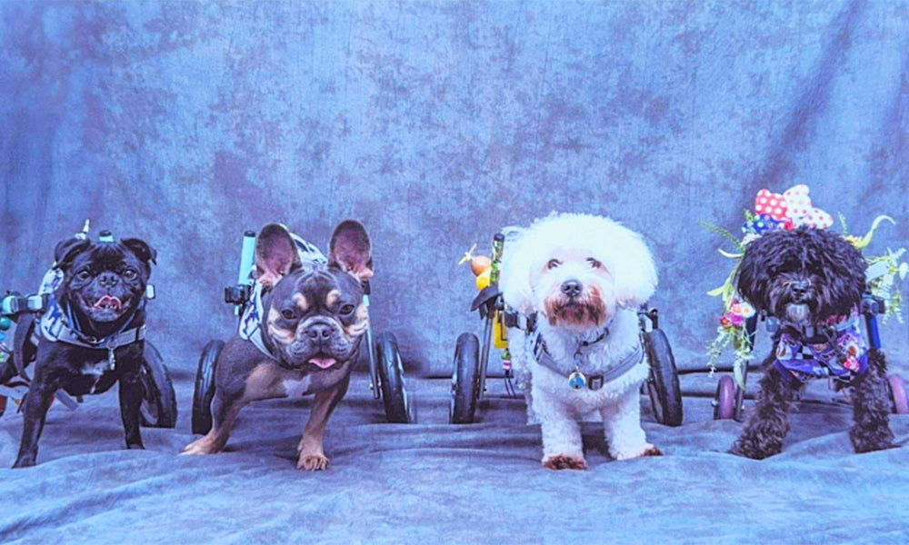 Celebrate ‘GIVE BACK FRIDAY’ by helping us to help others