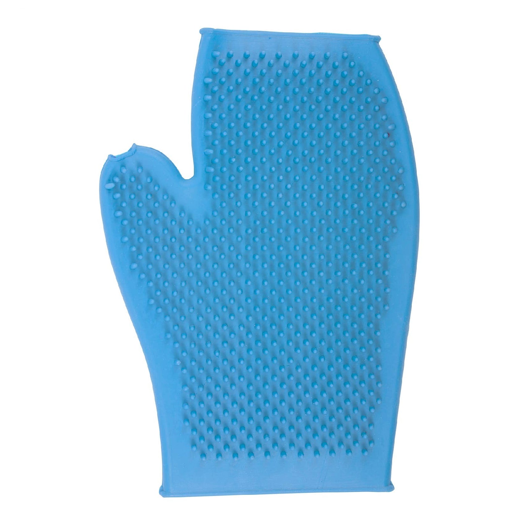 Blue grooming glove with textured surface on a white background, featuring the Ergo brand.