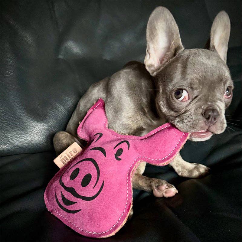 Miro & Makauri - Patrick Pig Eco Dog Toy