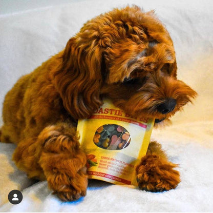 Maks Patch Roastie Bites - Vegan Dog Treats, 100g