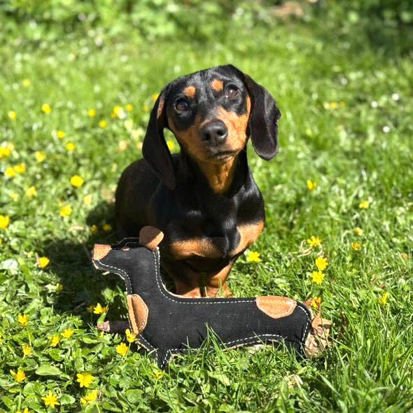 Miro & Makauri - Douglas Dachshund Eco Dog Toy