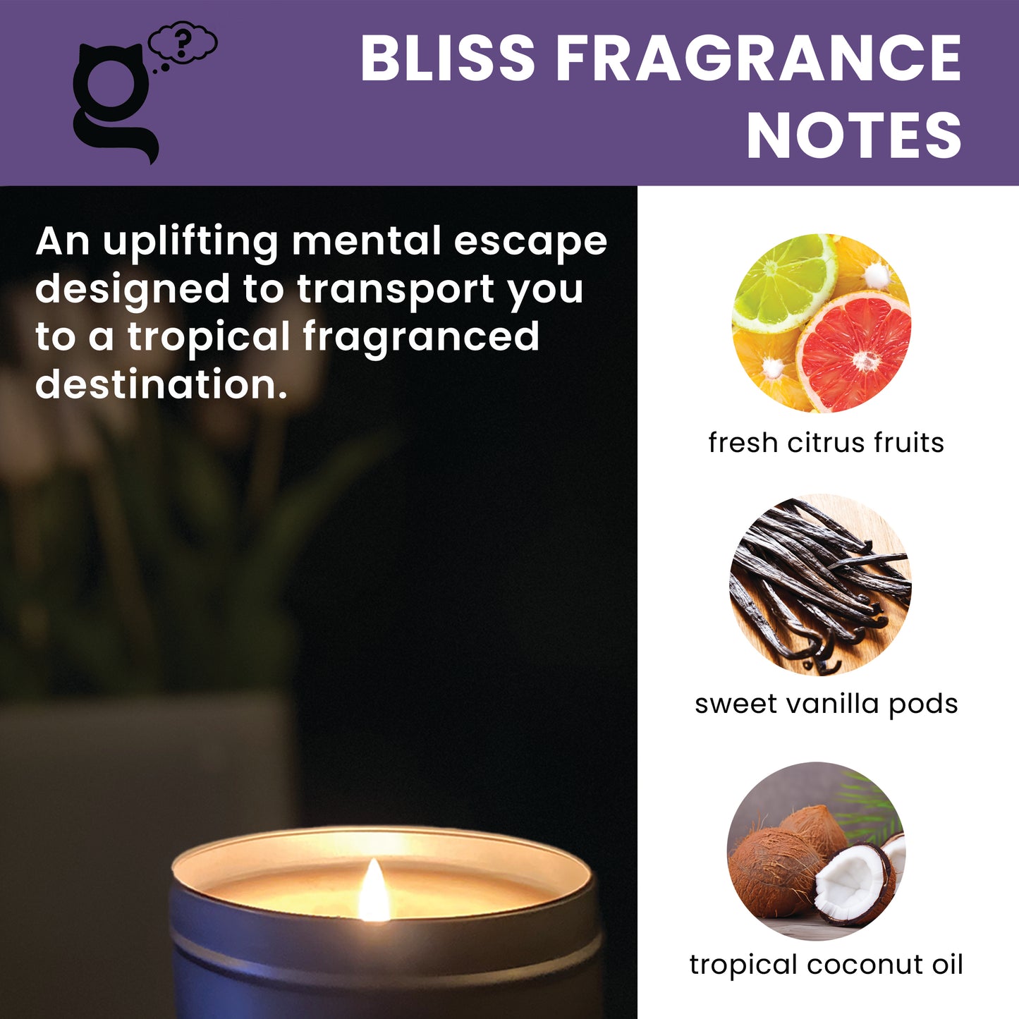 BLISS uplifting candle - citrus vanilla coconut, 190gm