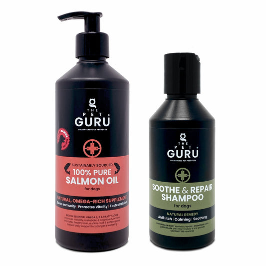 Summer Comfort Bundle for Dogs
