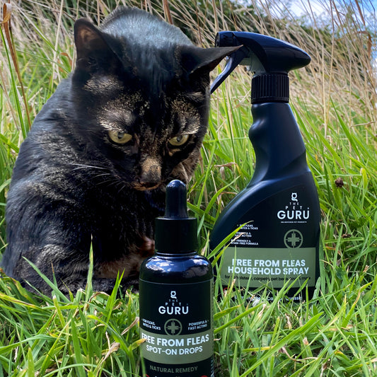 Free From Fleas Essential Cat Bundle – Spot-On + Household Spray