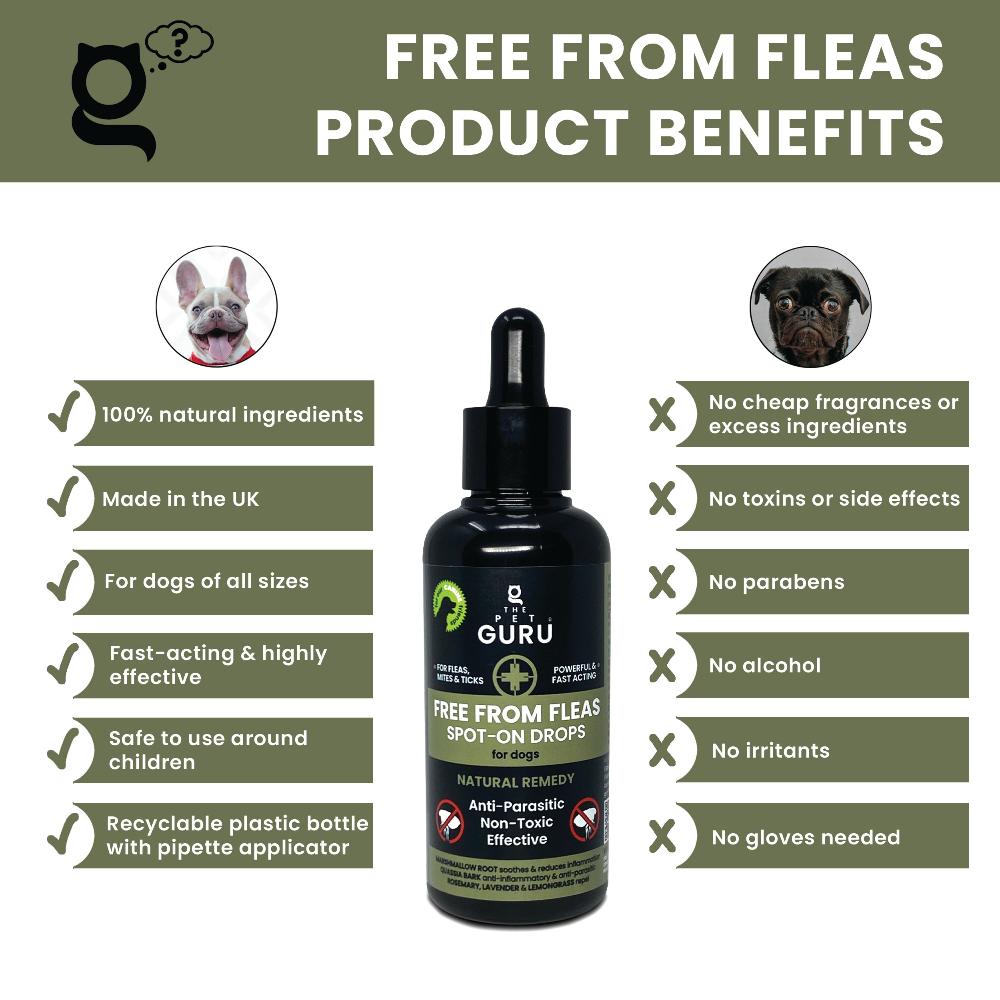 the pet guru free from fleas spot on natural flea treatment for dogs benefits