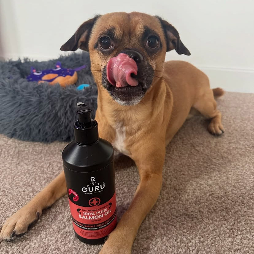 Pure Scottish Salmon Oil for Dogs, 500ml