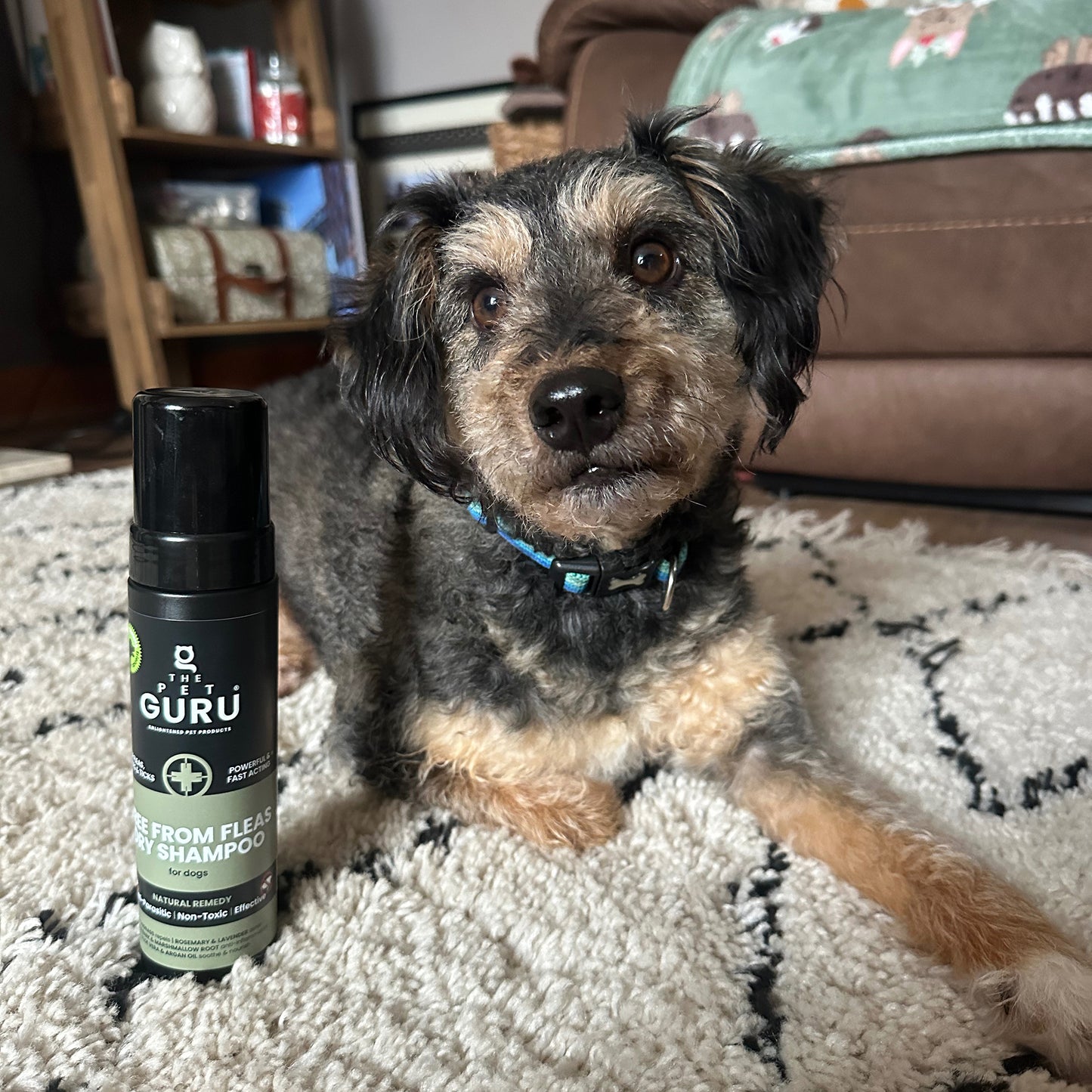 Free From Fleas dry shampoo for Dogs, 200ml