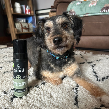 Free From Fleas dry shampoo for Dogs, 200ml