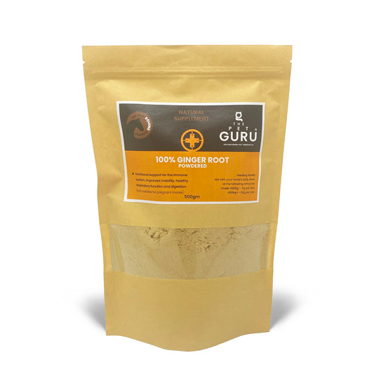 GInger Root Powder, 500gm