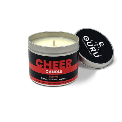 CHEER festive candle - citrus spices vanilla, 190gm