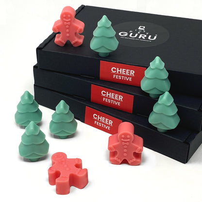 CHEER festive wax melt box - citrus spices vanilla