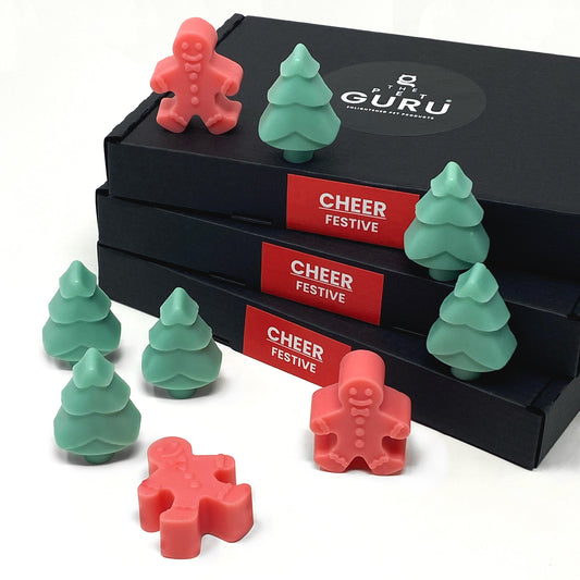 CHEER festive wax melt box - citrus spices vanilla