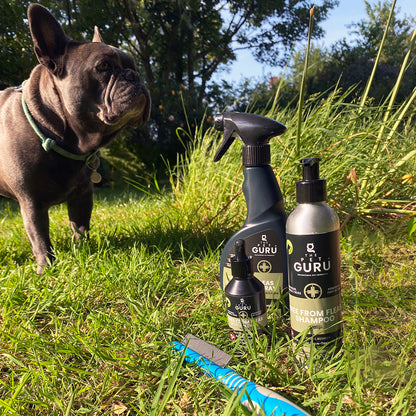 Free From Fleas Complete Dog Bundle – Spot-On + Spray + Shampoo + Comb