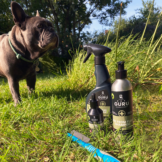 Free From Fleas Complete Dog Bundle – Spot-On + Spray + Shampoo + Comb