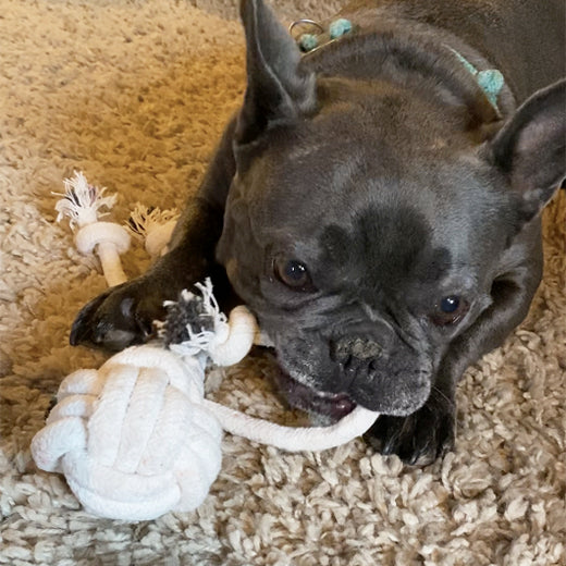 Knotted Rope Man Tug Toy