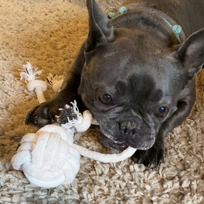 Knotted Rope Man Tug Toy