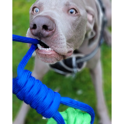Colourful Rope Tug Toys