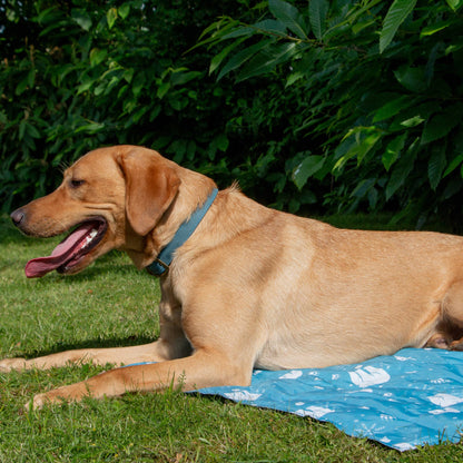 Ice Paws Cooling Mat - 2 sizes available