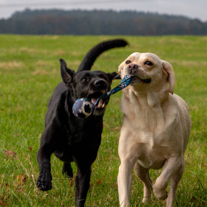 Fun Tennis Ball With Strap