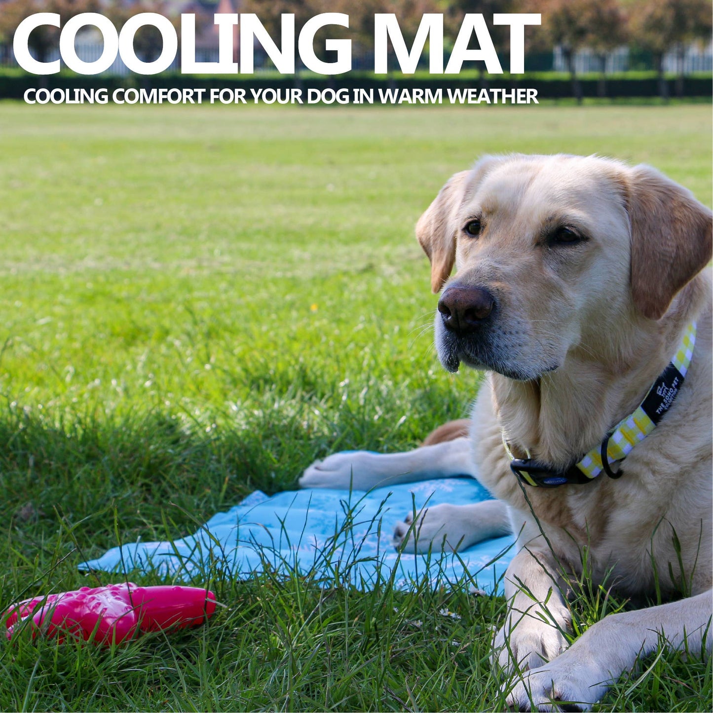 Ice Paws Cooling Mat - 2 sizes available