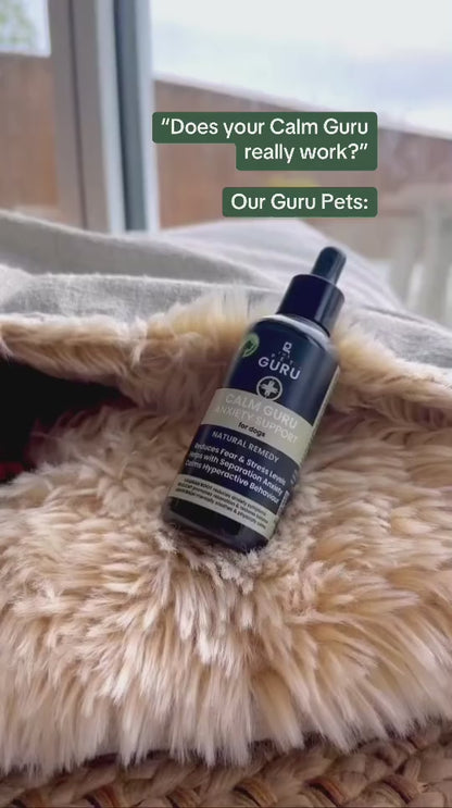 Calm Guru  anti anxiety calming drops for Dogs, 100ml