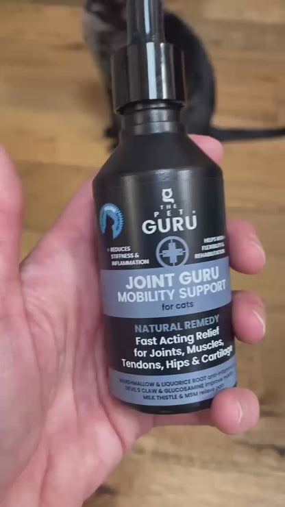 Joint Guru mobility support for Cats, 3 sizes